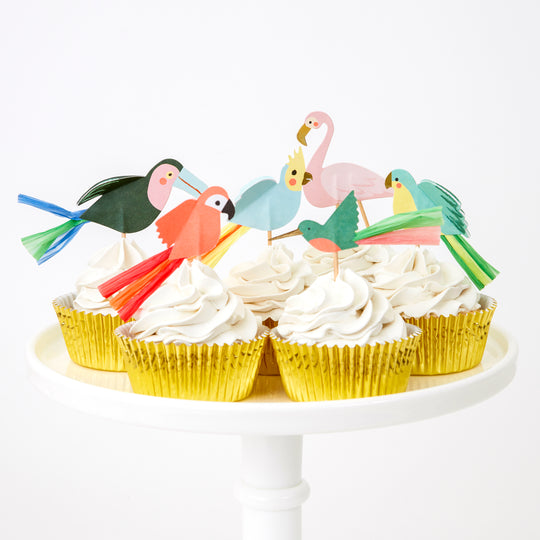 meri meri tropical bird cupcake kit