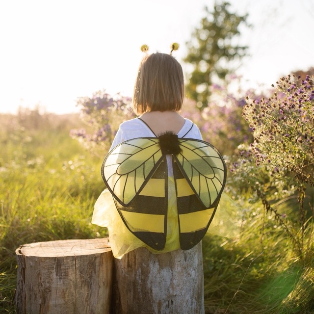 glitter bumblebee skirt & wings (4-6 jr)