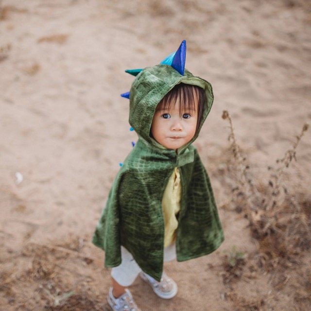 baby dragon cape (1-2 jr)