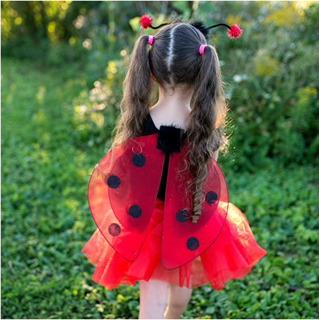glitter ladybug skirt & wings (4-6 jr)
