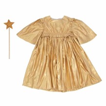 meri meri gold angel dress 5-6