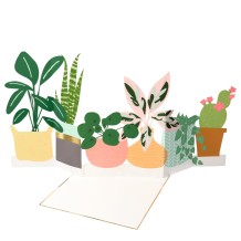 meri meri potted plant concertina card