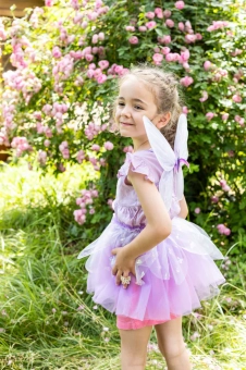 flutter butterfly skirt with wings - pink (4-6 jr) | Kinderfeestwinkel | Speelgoedwinkel | Feestwinkel | Kinderwinkel | Amste
