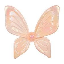 souza alessandra wings