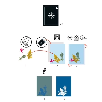 images/productimages/small/cyanotype-papier-djeco-dj09338-a-toys4kids-kontich.webp
