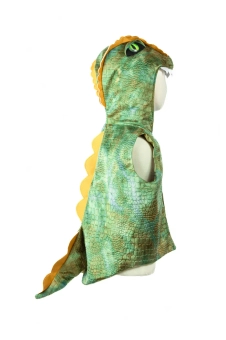 all day everyday dino vest (5-6 jr) | Kinderfeestwinkel | Speelgoedwinkel | Feestwinkel | Kinderwinkel | Amsterdam