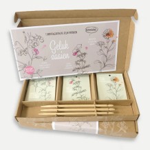 flower seeds - sowing happiness