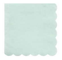 meri meri mint simply eco napkins, small | Kinderfeestwinkel | Speelgoedwinkel | Feestwinkel | Kinderwinkel | Amsterdam