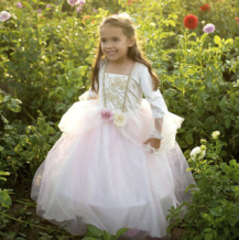 princess dress - goud/roze (5-6 jr)