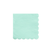 meri meri mint napkins, small