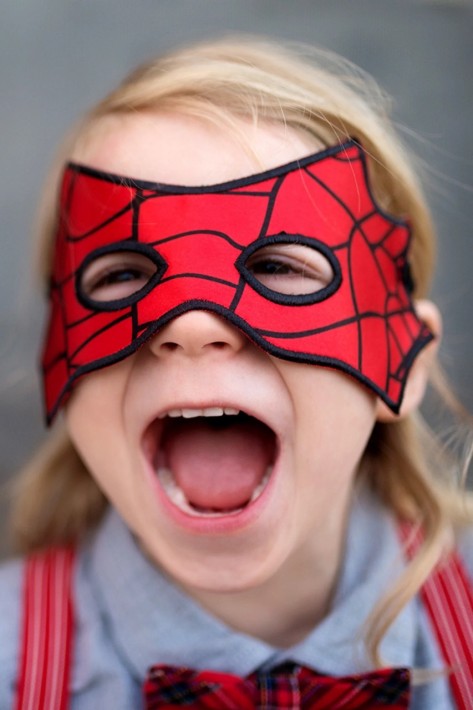 reversible spider/bat mask