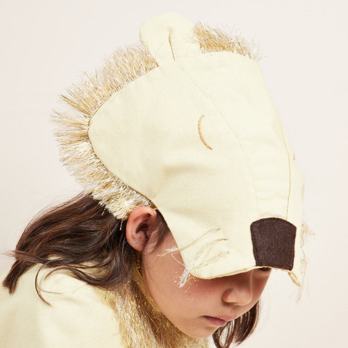 meri meri lion cape dress up