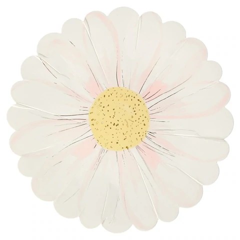 meri meri wild daisy plates