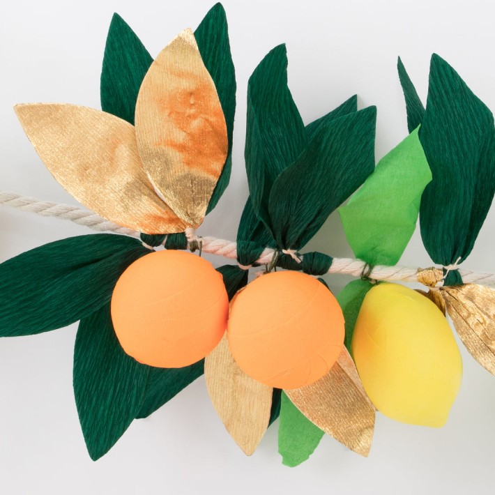 meri meri citrus fruit garland