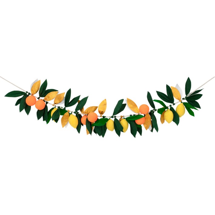 meri meri citrus fruit garland