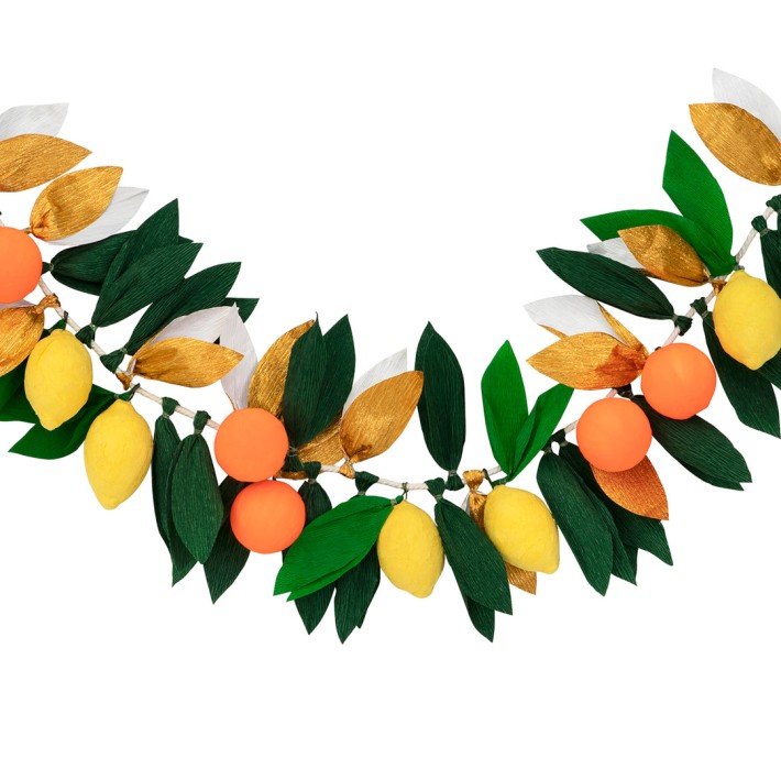 meri meri citrus fruit garland