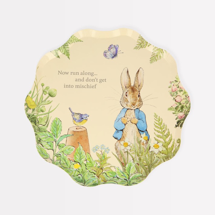 meri meri Pieter Konijn in the garden side plates | Kinderfeestwinkel | Speelgoedwinkel | Feestwinkel | Kinderwinkel | Amster
