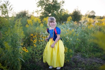 deluxe snow white  dress (5-6 yrs)