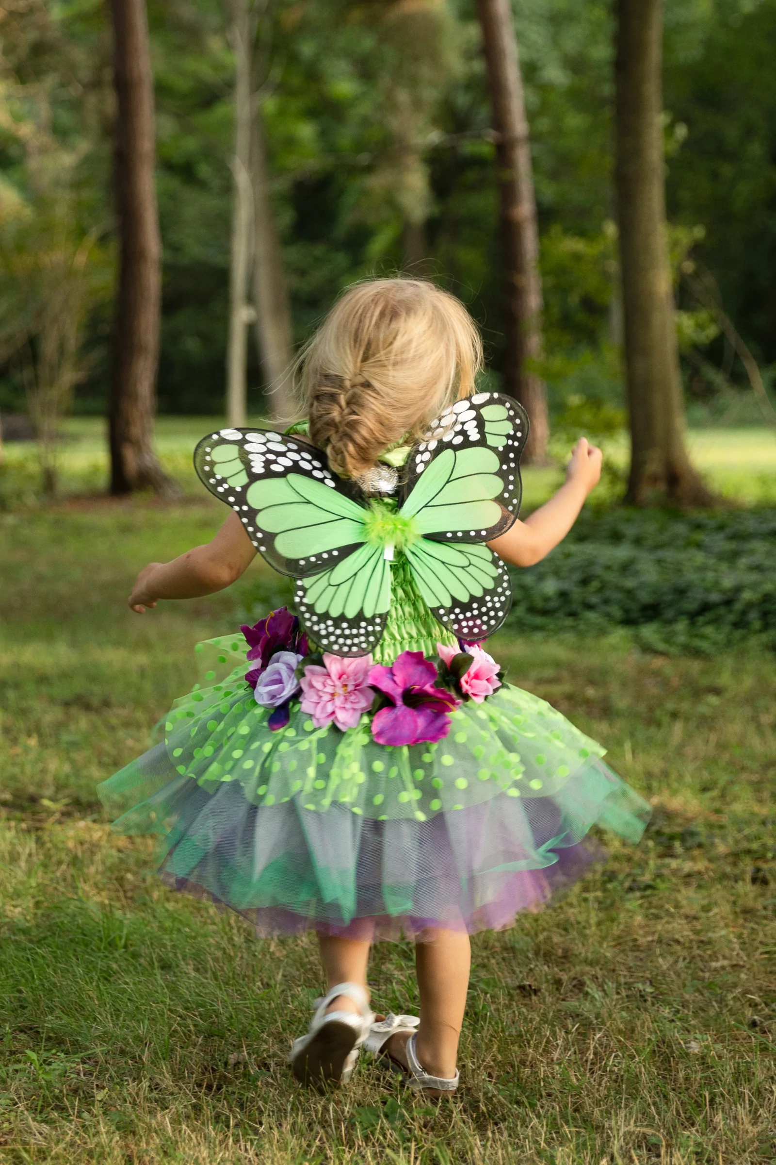 fairy blooms deluxe dress with wings - groen (5-6 jr)