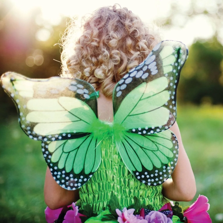 fairy blooms deluxe dress with wings - groen (5-6 jr)