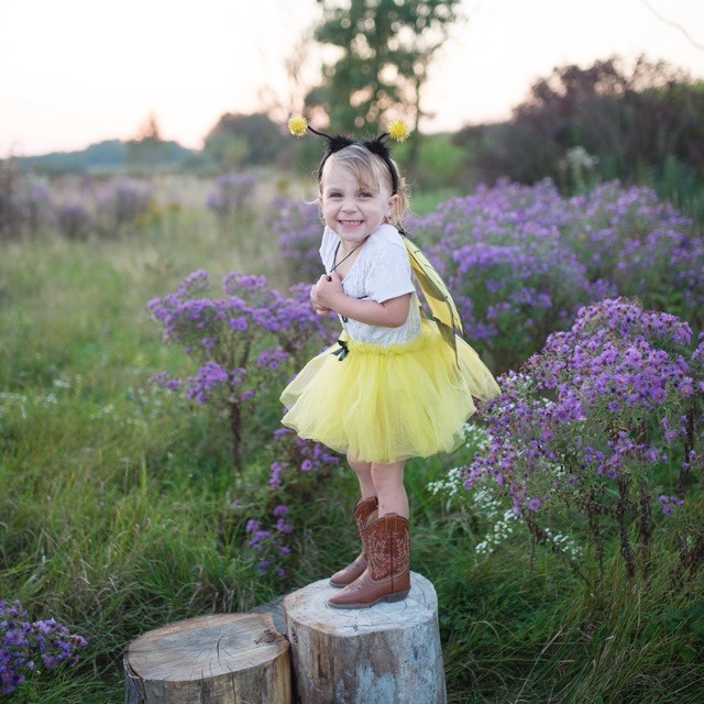 glitter bumblebee skirt & wings (4-6 jr)