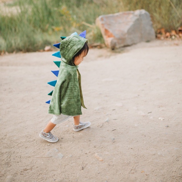 baby dragon cape (1-2 jr)