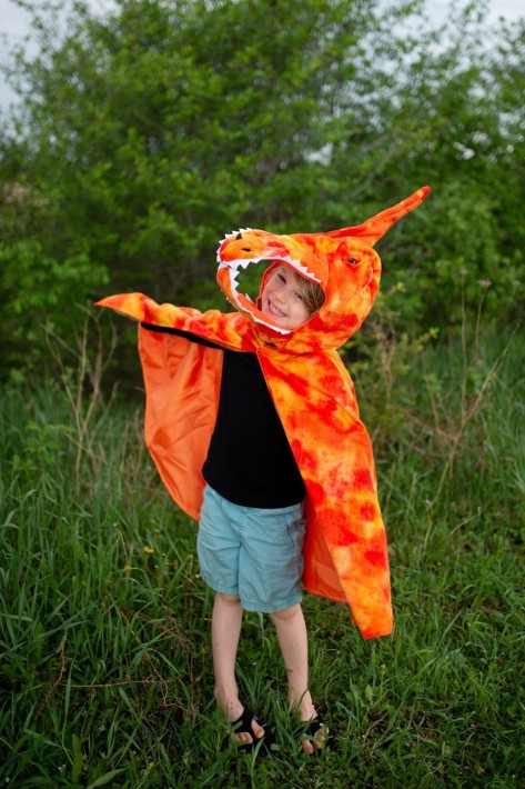 grandasaurus pterodactyl cape (5-6 jr)