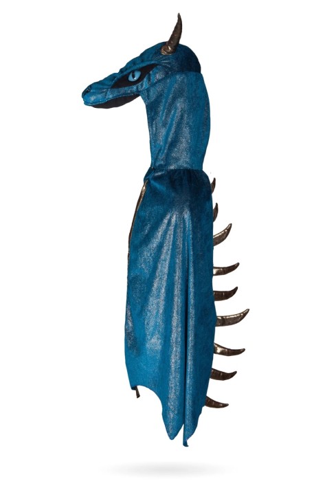 starry night dragon (7-8 jr)