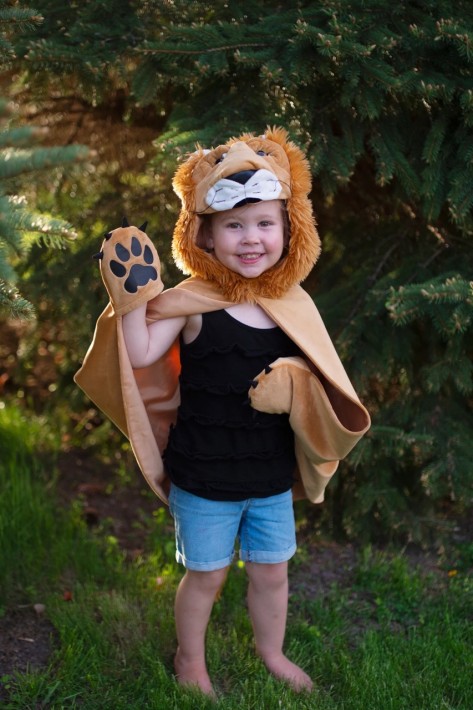 woodland storybook lion cape (2-3 jr)
