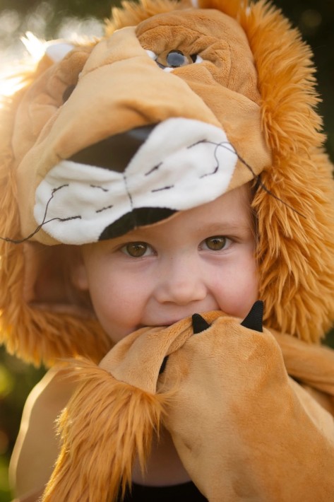 woodland storybook lion cape (2-3 jr)