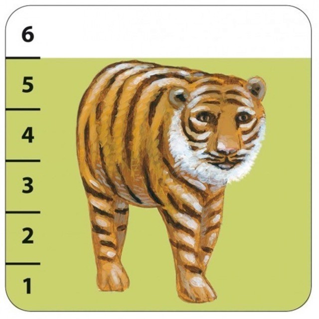 djeco spel - batanimo (3-6 jr)