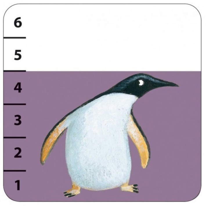 djeco spel - batanimo (3-6 jr)
