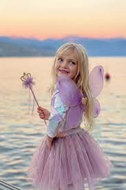 royal fairy princess skirt with wings & wand, purple (4-6 jr)