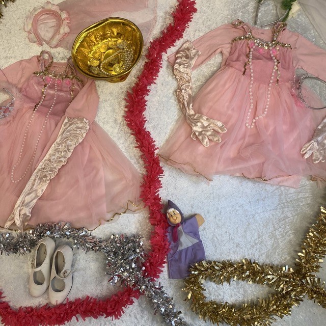 princess dress up box for rent