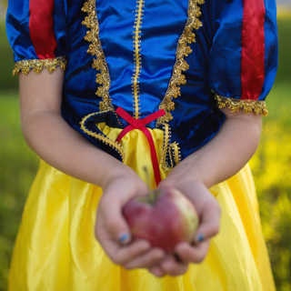 deluxe snow white dress (7-8 jr)