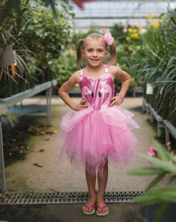 fancy flamingo dress & headband (5-6 jr)