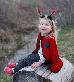 little ladybug toddler cape (2-3 jr)