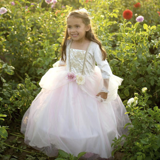princess dress - goud/roze (5-6 jr)
