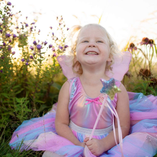 rainbow sequins skirt, wings & wand (4-6 yrs)